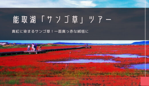 能取湖「サンゴ草」おすすめツアー特集！