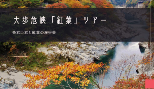 大歩危峡「紅葉」おすすめツアー特集！