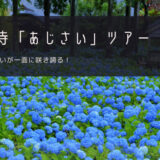 雲昌寺「あじさい」おすすめツアー特集！