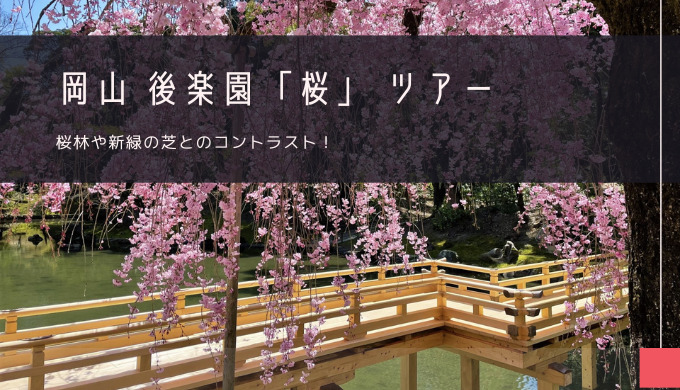 岡山後楽園「桜」おすすめツアー特集！