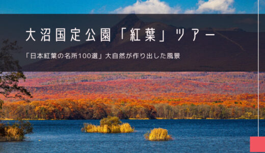 大沼国定公園「紅葉」おすすめツアー特集！