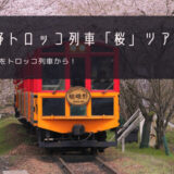 嵯峨野トロッコ列車「桜」おすすめツアー特集！