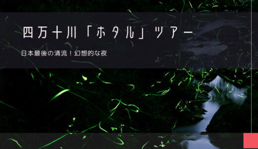 四万十川「ホタル」おすすめツアー特集！