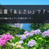 下田公園「あじさい」おすすめツアー特集！