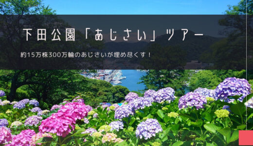 下田公園「あじさい」おすすめツアー特集！