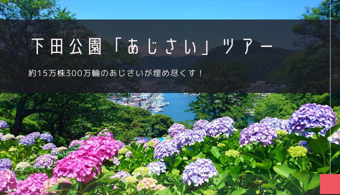 下田公園「あじさい」おすすめツアー特集！