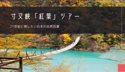 寸又峡「紅葉」おすすめツアー特集！