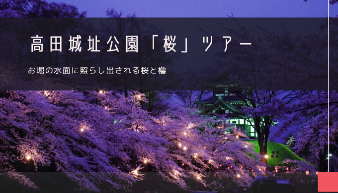 高田城址公園「桜」おすすめツアー特集！