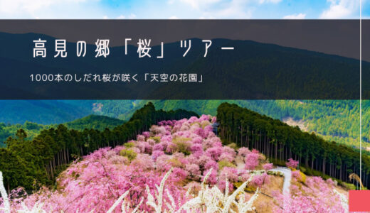 高見の郷「桜」おすすめツアー特集！