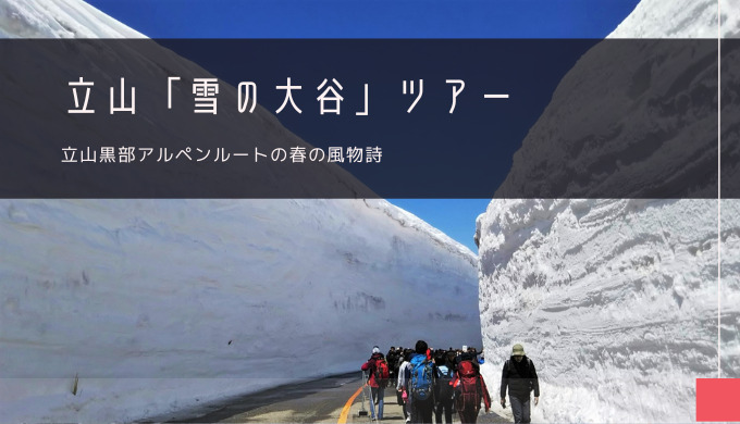 雪の大谷 おすすめツアー特集！