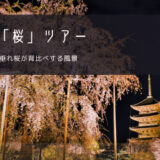 東寺「桜」おすすめツアー特集！