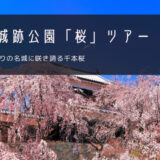 上田城跡公園「桜」おすすめツアー特集！