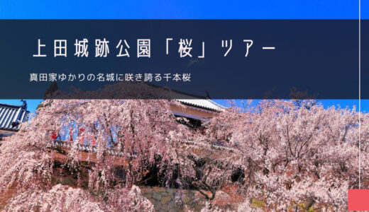 上田城跡公園「桜」おすすめツアー特集！