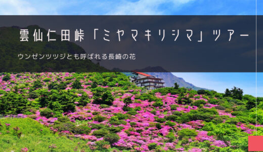 雲仙仁田峠「ミヤマキリシマ」おすすめツアー特集！