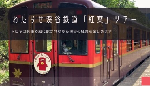 わたらせ渓谷鉄道トロッコ列車「紅葉」おすすめツアー特集！