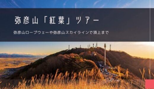 弥彦山「紅葉」おすすめツアー特集！