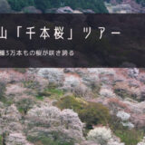 吉野山「千本桜」おすすめツアー特集！