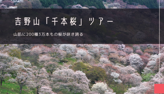 吉野山「千本桜」おすすめツアー特集！