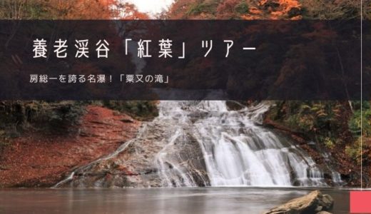 養老渓谷「紅葉」おすすめツアー特集！