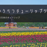 かみゆうべつチューリップ公園 おすすめツアー特集！