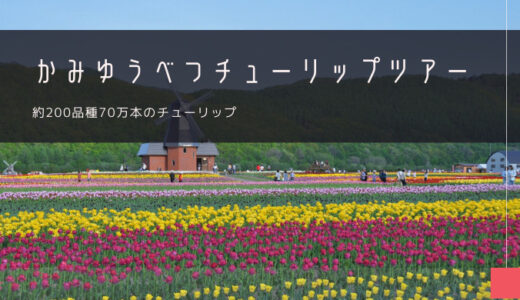 かみゆうべつチューリップ公園 おすすめツアー特集！