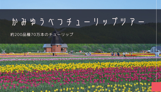 かみゆうべつチューリップ公園 おすすめツアー特集！